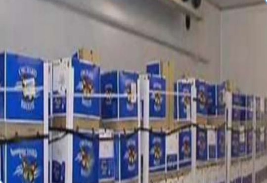 巧克力、牛奶乳品冷库